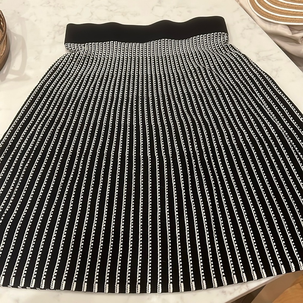 Ann Taylor Black and White Skirt